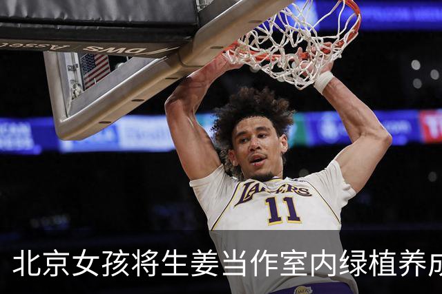 北京女孩将生姜当作室内绿植养成引热议，网友称其别具一格